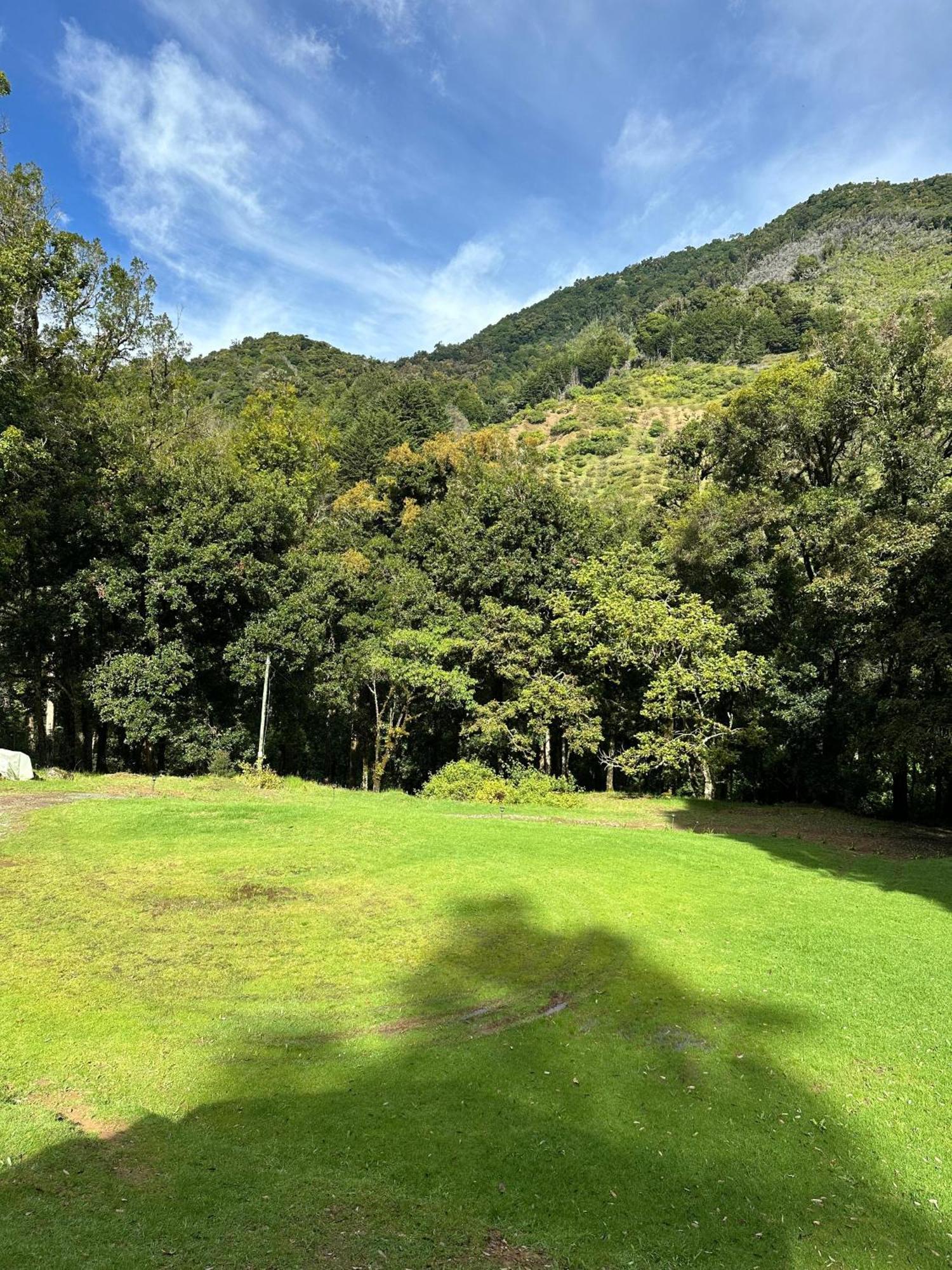 Entre Arboles Lodge San Gerardo de Dota Zewnętrze zdjęcie