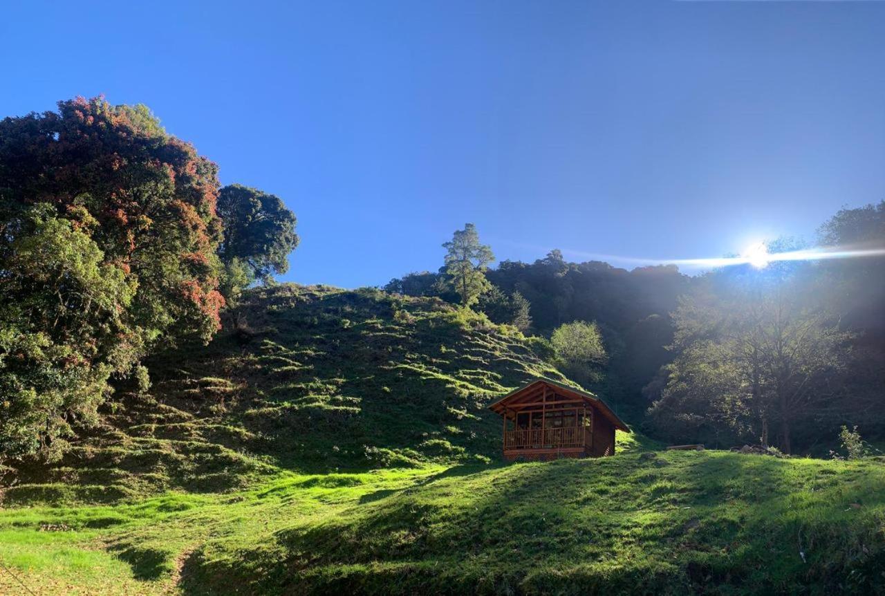 Entre Arboles Lodge San Gerardo de Dota Zewnętrze zdjęcie