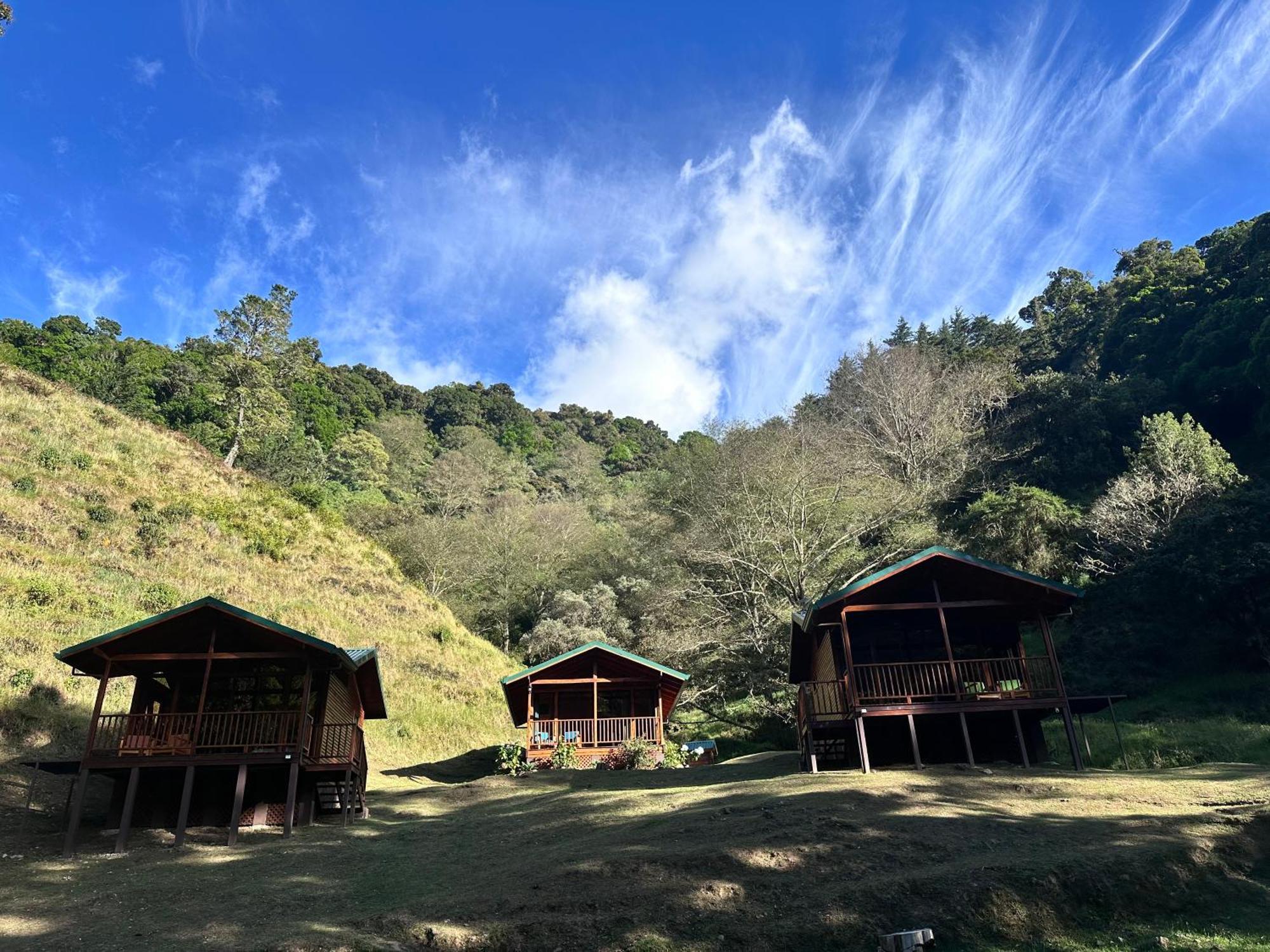Entre Arboles Lodge San Gerardo de Dota Zewnętrze zdjęcie