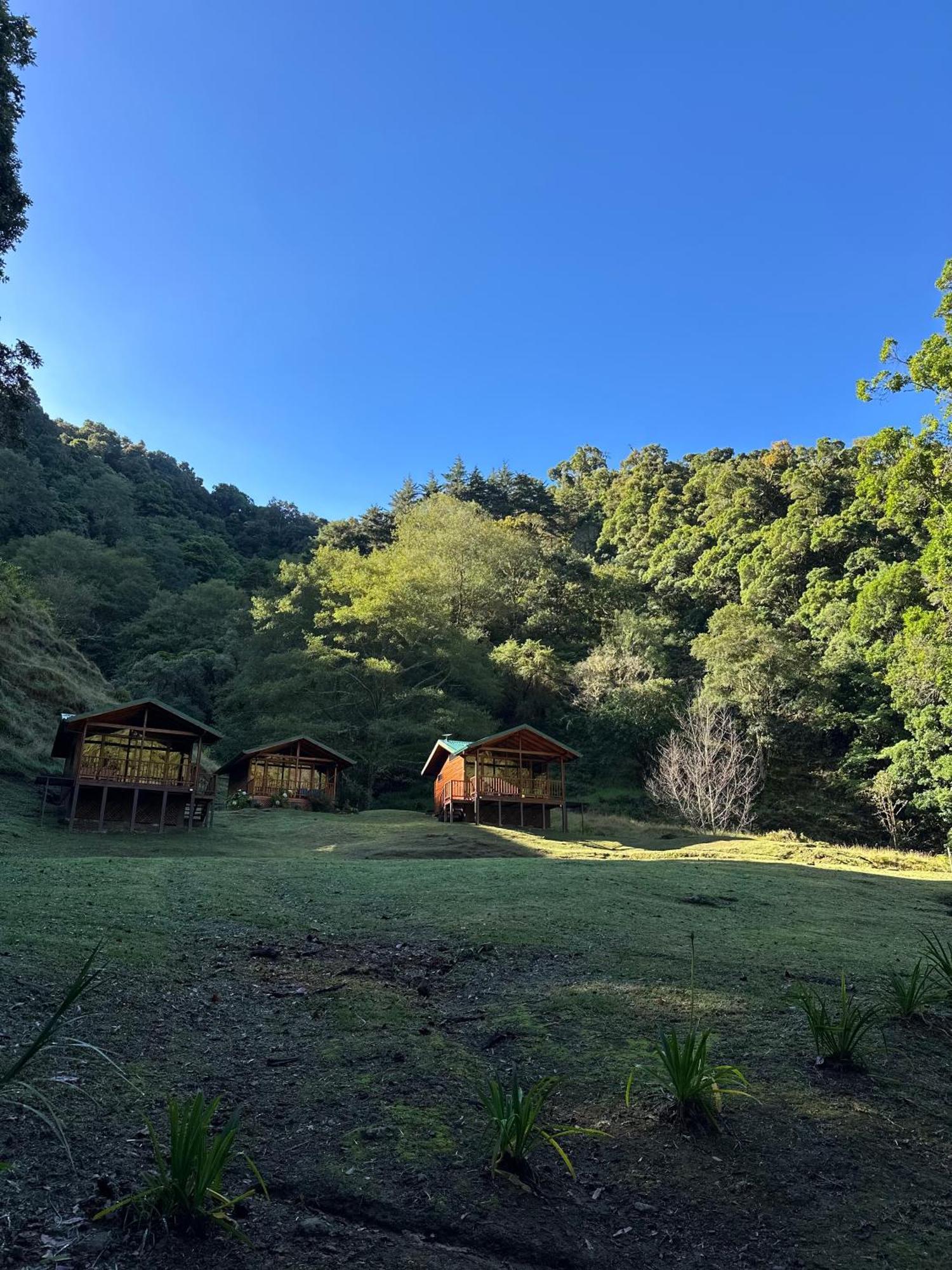 Entre Arboles Lodge San Gerardo de Dota Zewnętrze zdjęcie