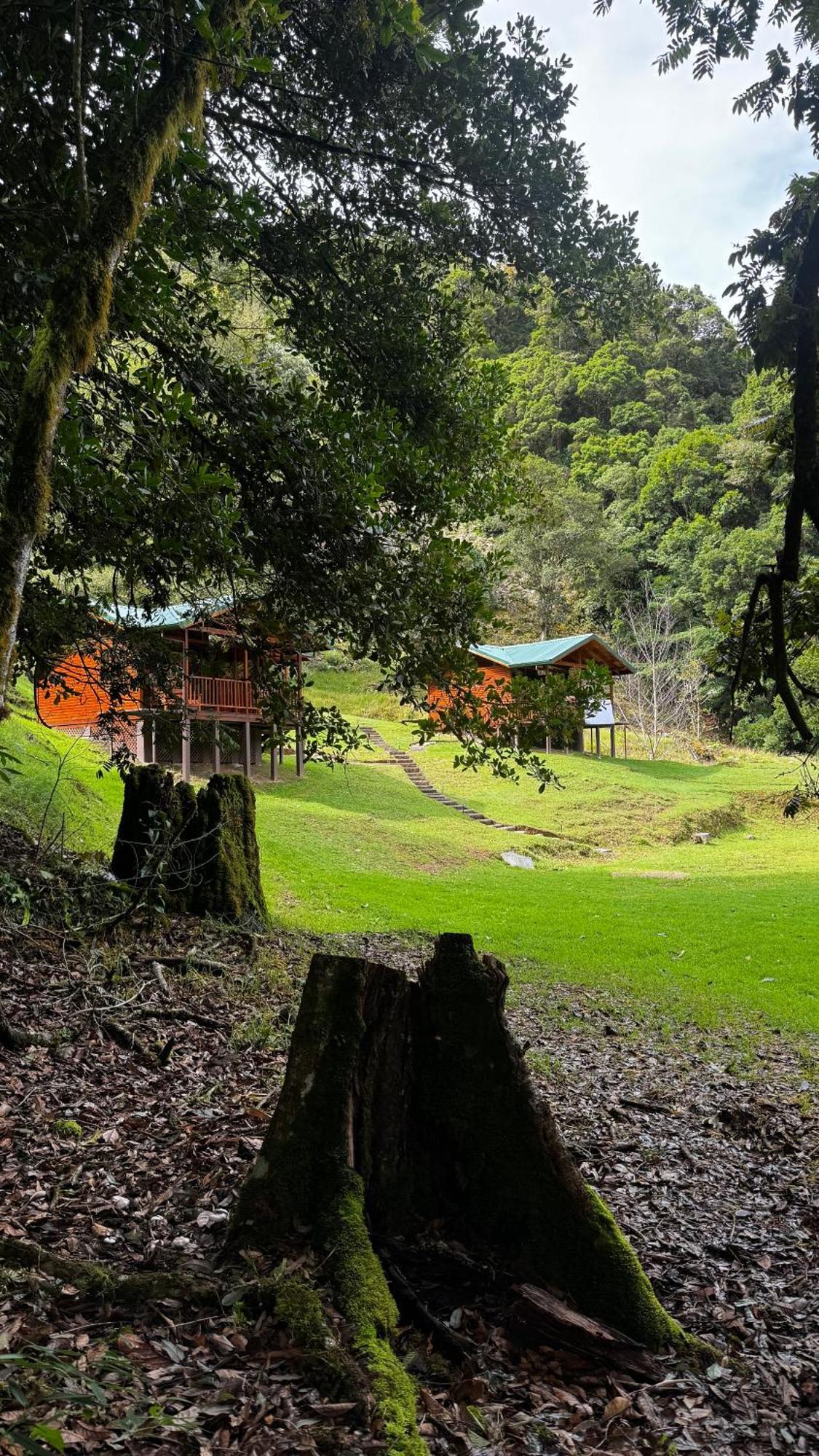 Entre Arboles Lodge San Gerardo de Dota Zewnętrze zdjęcie